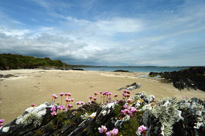 A beach at Horse Island