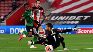 Southampton v Brighton & Hove Albion - Premier League - St Mary's Stadium