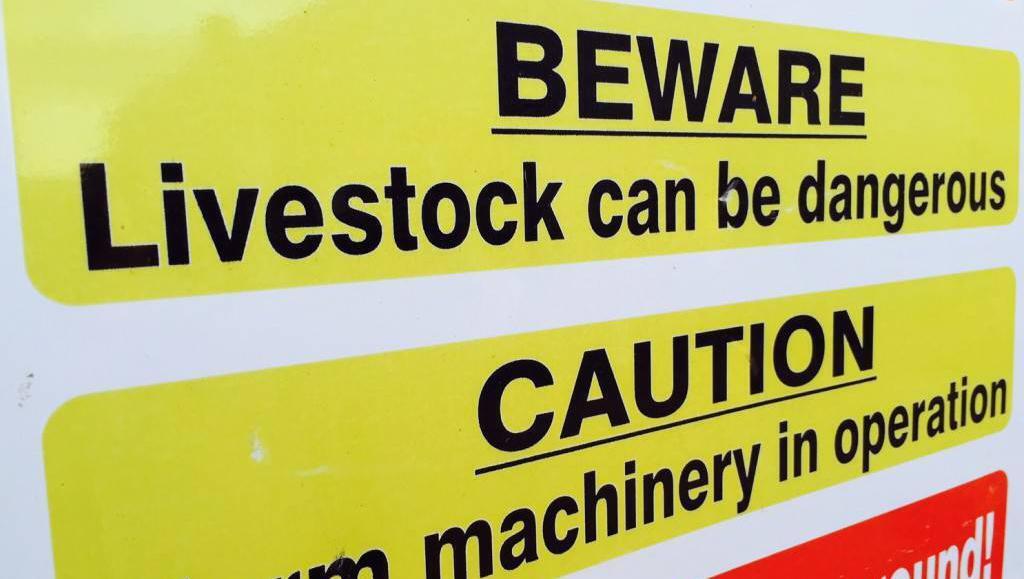 'I'm lucky: Most people don't survive such a horrific farm accident'