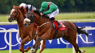 Monument Valley (left) can get off the mark at Ballinrobe. Picture: Healy Racing 