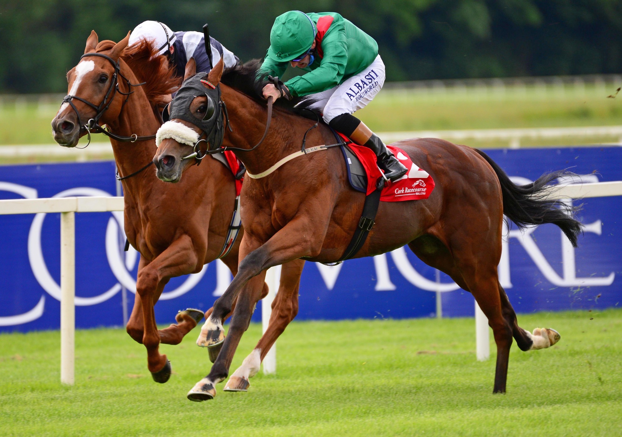 Gowran and Ballinrobe tips: Monument Valley can make most of good draw