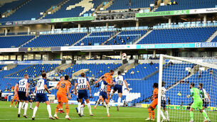 Brighton and Hove Albion v Newcastle United – Premier League – Amex Stadium