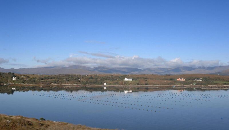 Coastal communities stand to benefit significantly from the development of Ireland's marine potential, which has already seen significant investment in fish farming as well as national marine institutes, notably in Galway and Cork.