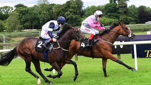 Logo Hunter, left, was touched off on debut at Bellewstown but can go one better at Down Royal today. Picture: Healy Racing 
