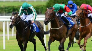Laggata (left) can take thye fillies' maiden at Gowran Park. Picture: Healy Racing