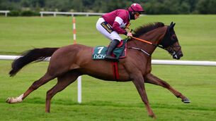 Felix Desjy looks the part in today's Galway Hurdle. Picture: Healy Racing