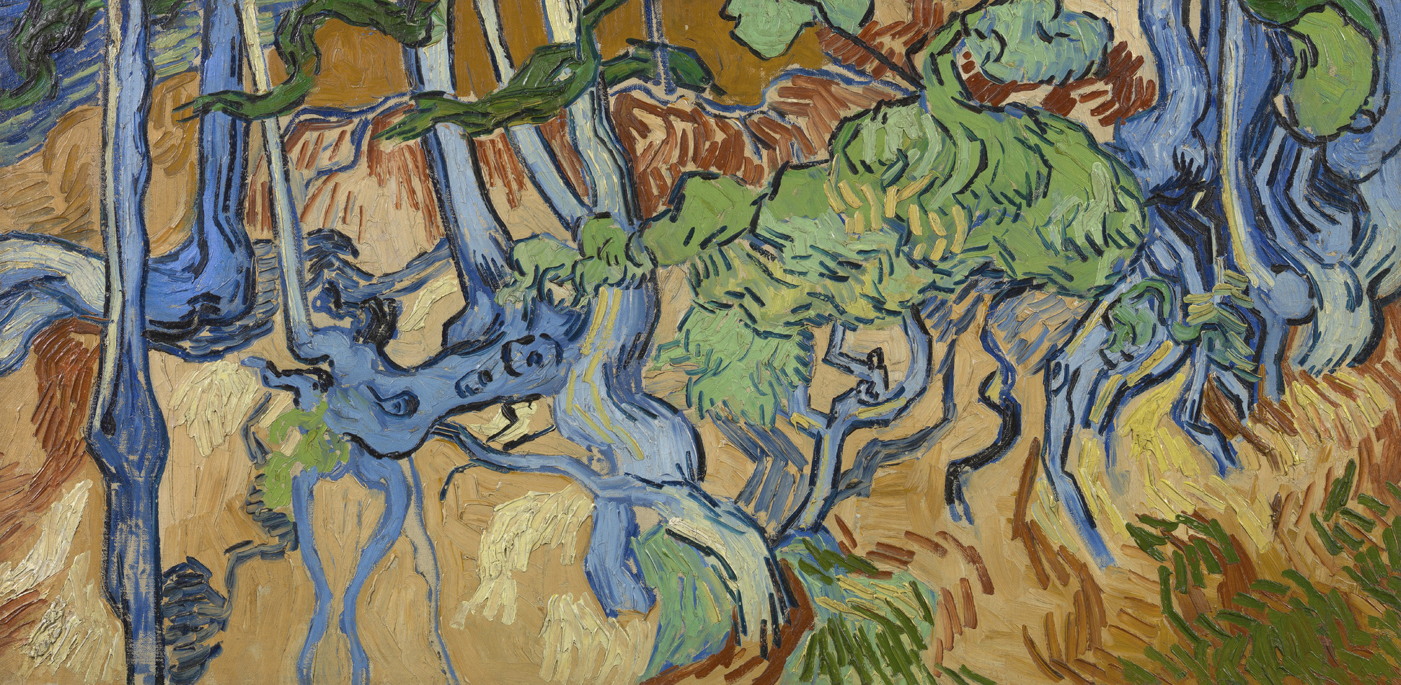 Location of Van Gogh’s last painting identified