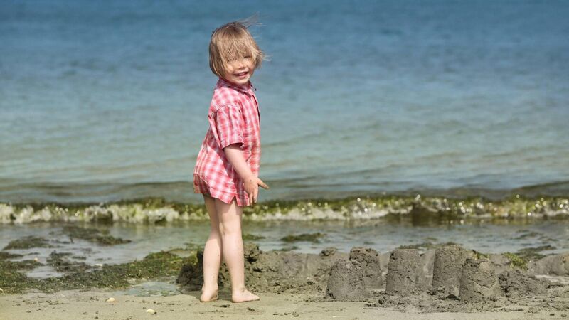 'Explore Your Shore' to help save marine life