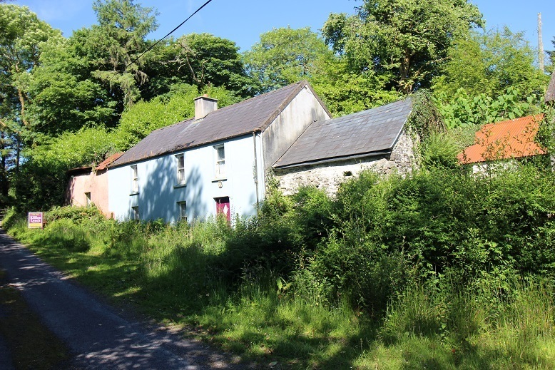 Successful Macroom public auction of 80 acres with old farmhouse