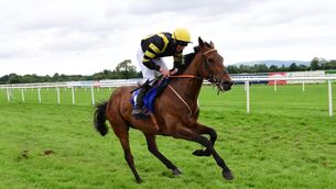 Hallowed Star and Shane Fenlon win the Emly Flat Race at Tipperary. Healy Racing Photo