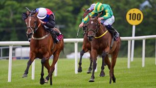 Jeff Kidder (right)  was progressive on the Flat and can get off the mark first time over hurdles.Picture: Healy Racing 