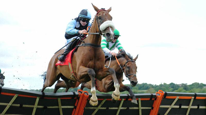 Cailean’s Angel goes one better than last year at Cork