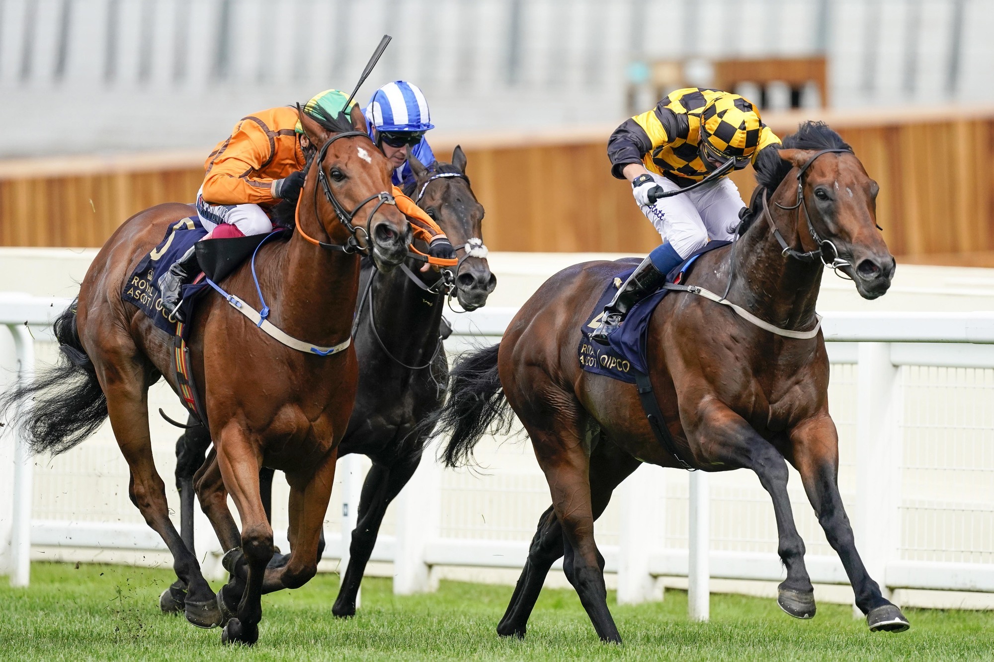 Denis Hogan dealt a 'devastating' blow with death of star sprinter Sceptical