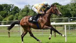 Pretty Gorgeous can land the Group 3 opener at Leopardstown today for Joseph O'Brien. Picture: Healy Racing