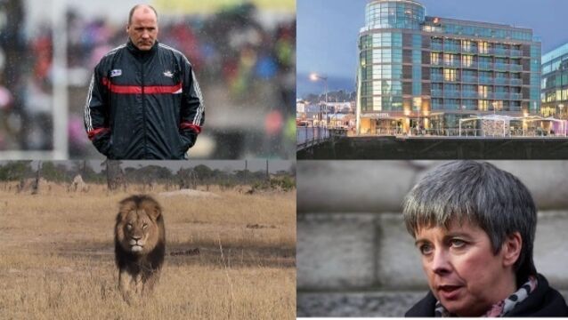 Your Wednesday morning news round-up