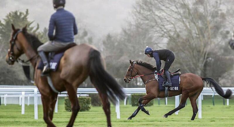 Keith O’Donoghue riding Envoi Allen at Cheltenham on Monday. Gordon Elliott’s charge is the choice in the opening race to maintain his unbeaten record, but faces by far his stiffest test to date. Picture: Dan Sheridan