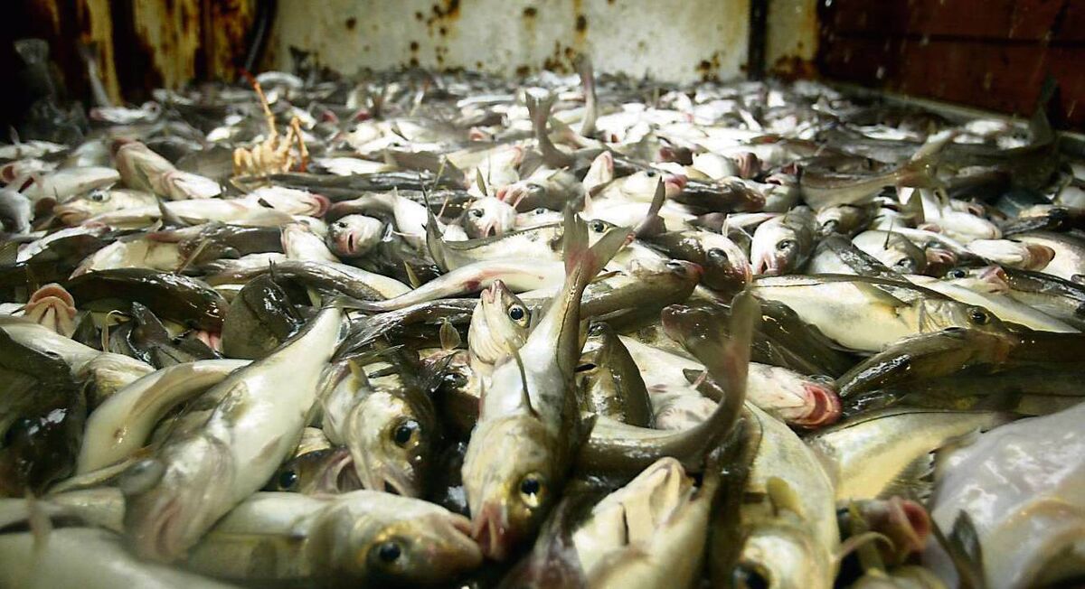 Although the task is daunting, protecting 30% of land and water by 2030 is eminently achievable. Research already shows the 30% goal is attainable using existing technologies, provided that there are shifts in policy.