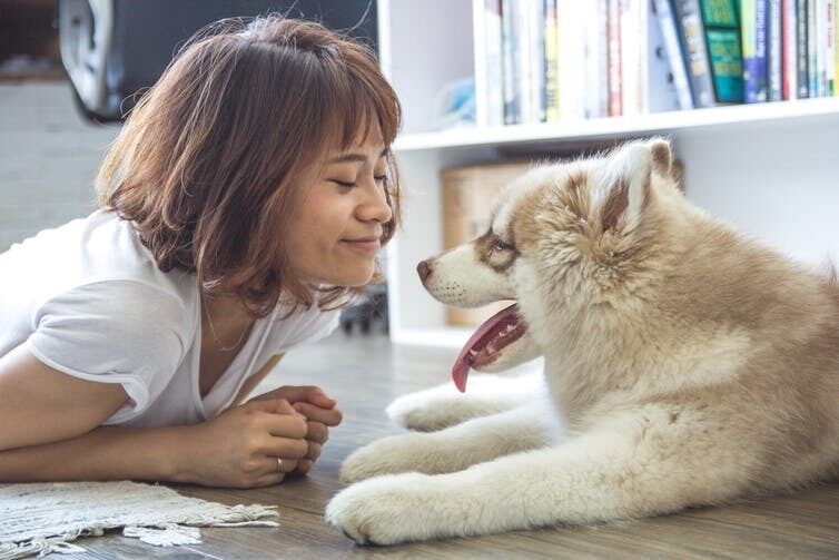 Offering a helping hand (paw). Shutterstock Offering a helping hand (paw). Shutterstock
