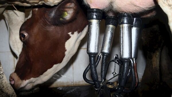 File image File image