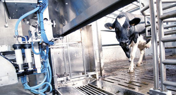 File image File image