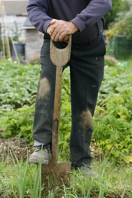 Prepare the ground (Chris Ison/PA) Prepare the ground (Chris Ison/PA)