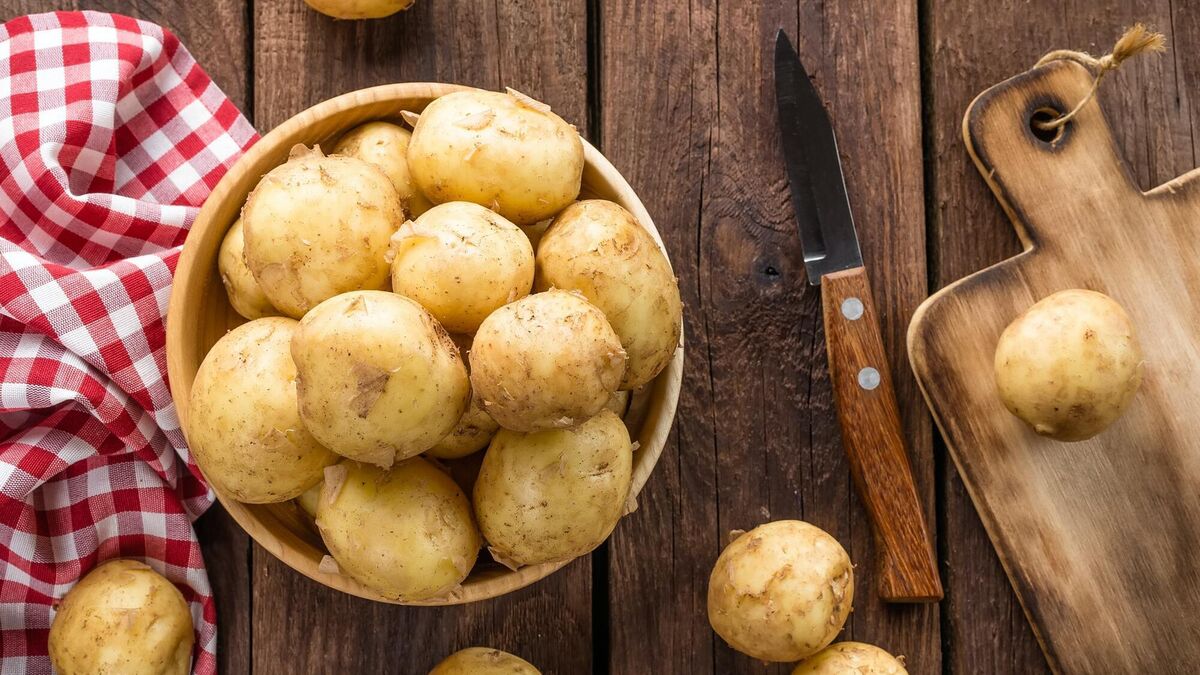 Сорт Картофеля Колобок Характеристика Отзывы Фото