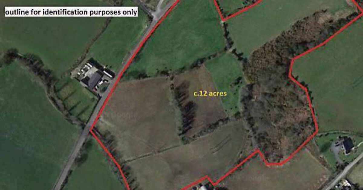 Nonresidential farm for sale near Enniskeane and Balllineen