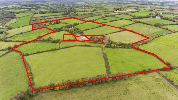 56-acre farm near Millstreet with lots of road frontage