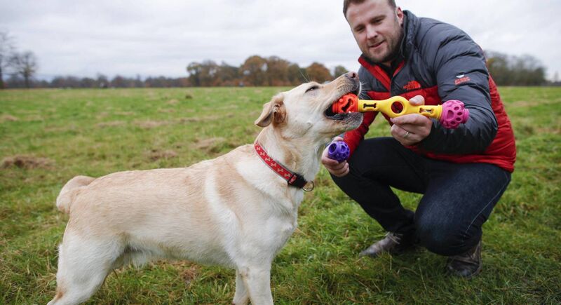 James McIlvenna CEO K9 Connectables. Picture Conor McCabe Photography