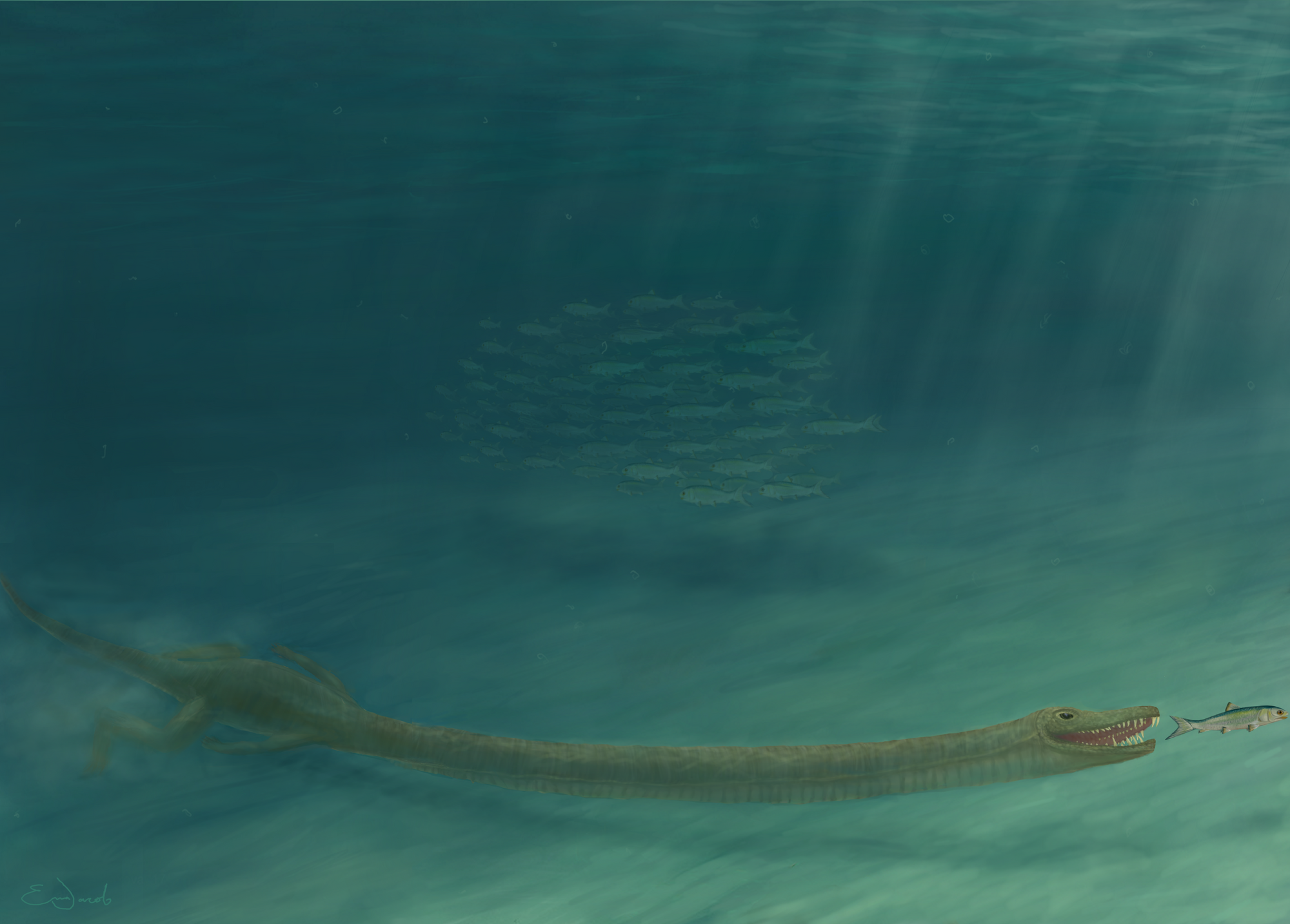 240-million-year-old reptile with giraffe-like neck ‘lived in ocean’
