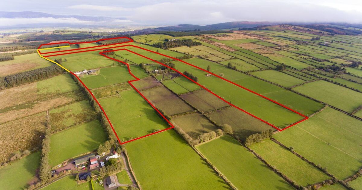 Residential farm for sale where three Munster counties meet
