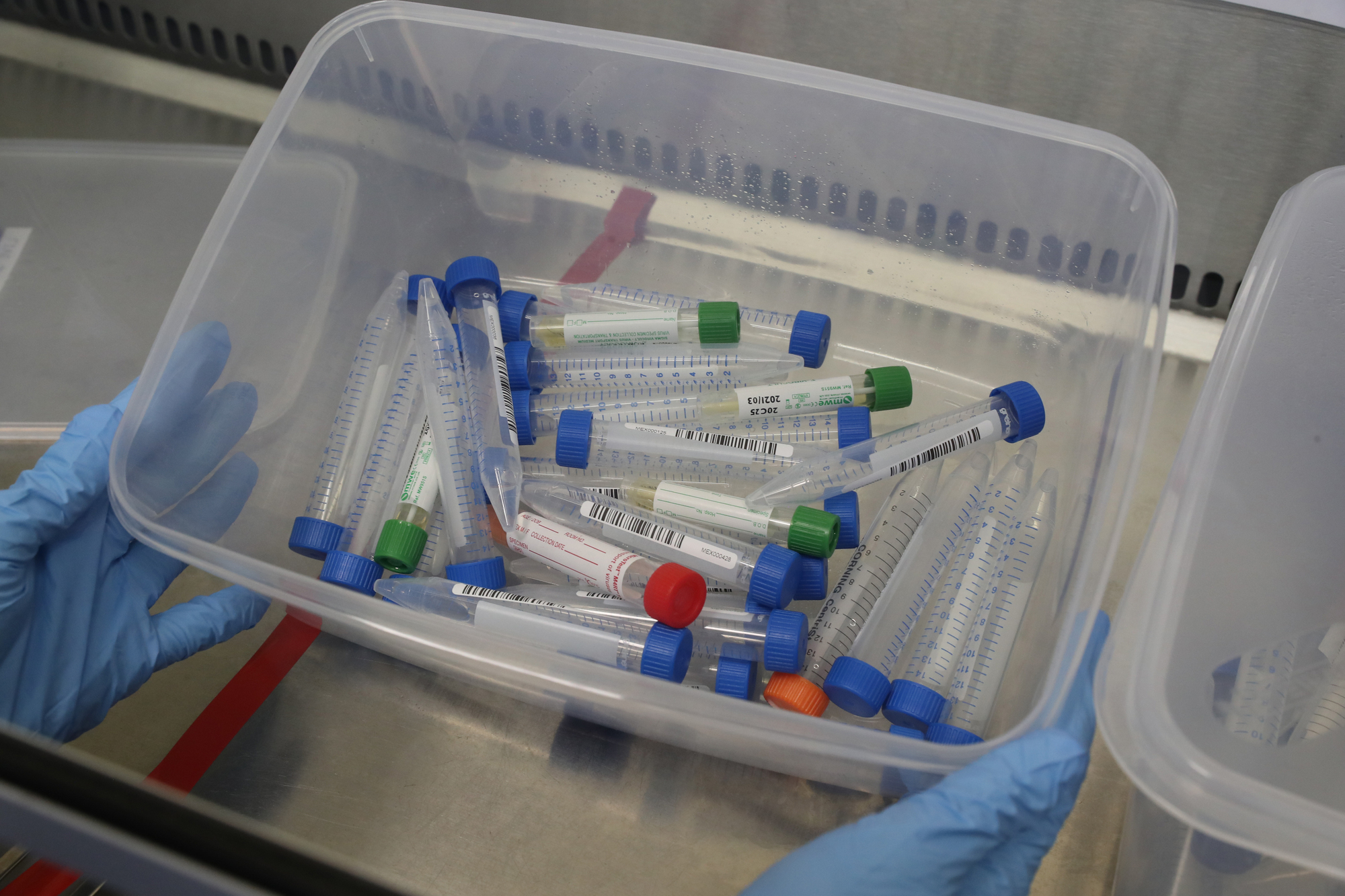 Union calls for mandatory Covid-19 testing for meat industry workers