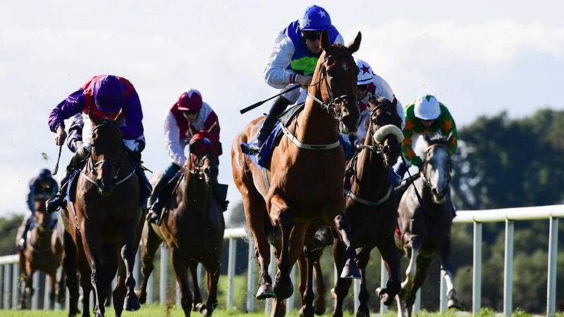 Real Force gains reward for consistency in Tipperary