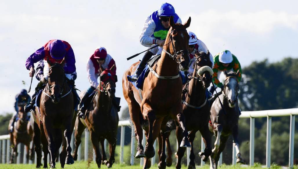 Kourvosier and Gary Halpin (blue cap) win the Tipperary Handicap. 	Picture: Healy Racing 
            