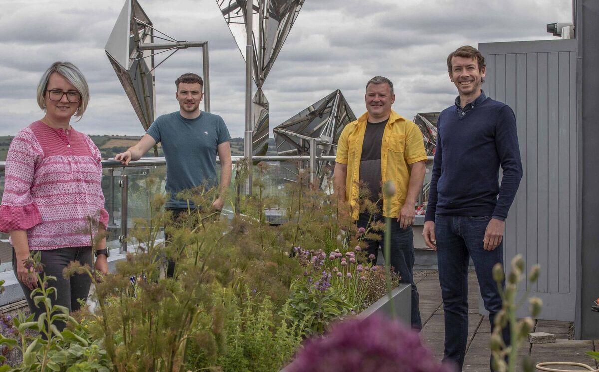 Community gardener Emma Woodhouse with youth worker Joe Curtin, Micheál O'Connor, and Stephen Murphy on the rooftop of the Hut in Gurranabraher, Cork City.  Picture: Clare Keogh