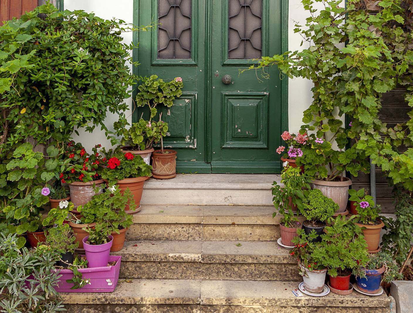 What potted plant should I put outside my front door?
