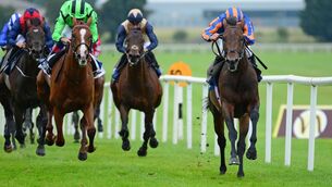 Dawn Patrol (right) can supplement Naas success at Leopardstown today. Picture: Healy Racing