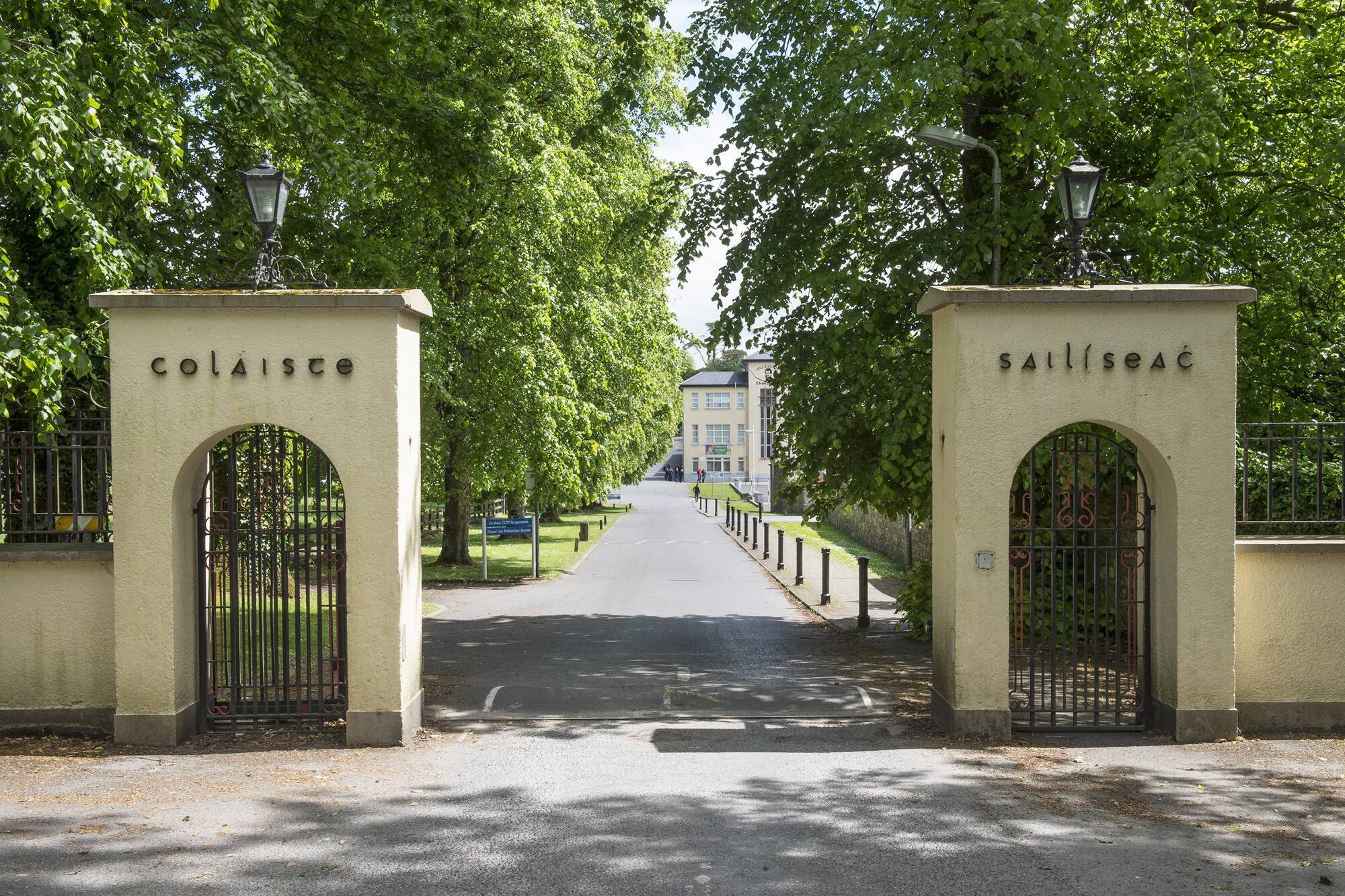 Two spring scholarships on offer at Salesian Agricultural College, Pallaskenry