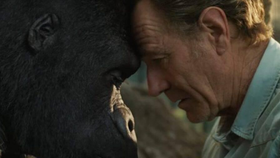 Bryan Cranston and Ivan, voiced by Sam Rockwell, in The One and Only Ivan.
