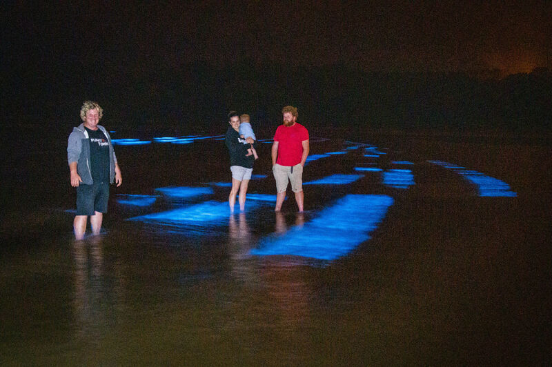 Paddy Quinlan, Funkytown Adenture Centre, Caroline Burgess, Turlough (aged 1) and Denis Cronin, Cronin's Pub, Crosshaven wading the bioluminescence glowing in the water.
