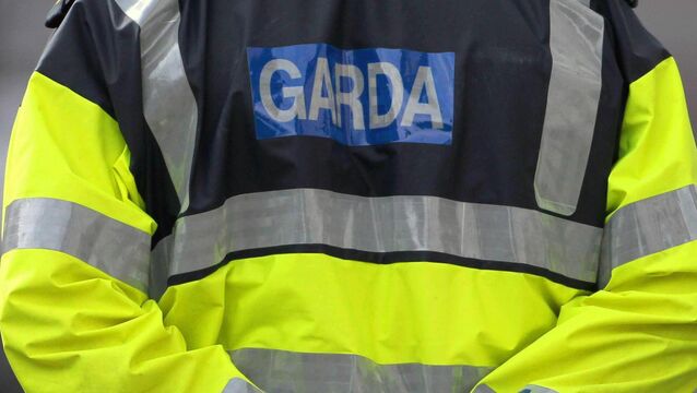 <p>The six searches by gardaí were carried out in counties Dublin, Cork, Laois, and Kerry. File picture</p>
