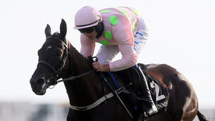 Jon Snow jumped superbly to win at Galway and can follow up in Killarney today. Picture: Brian Lawless/PA 