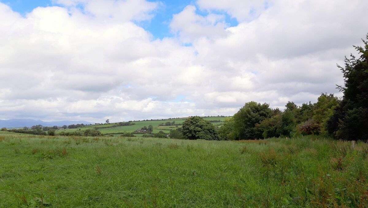 Some of the 53-acre farm for sale at Ballynamona, Glanworth, Co Cork. File picture. Some of the 53-acre farm for sale at Ballynamona, Glanworth, Co Cork. File picture.