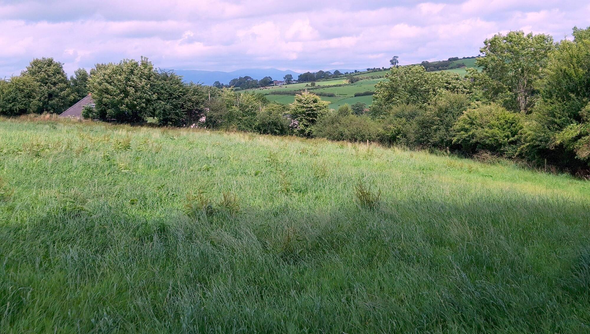 €15,000 per acre expected for 53-acre Glanworth, Co Cork farm