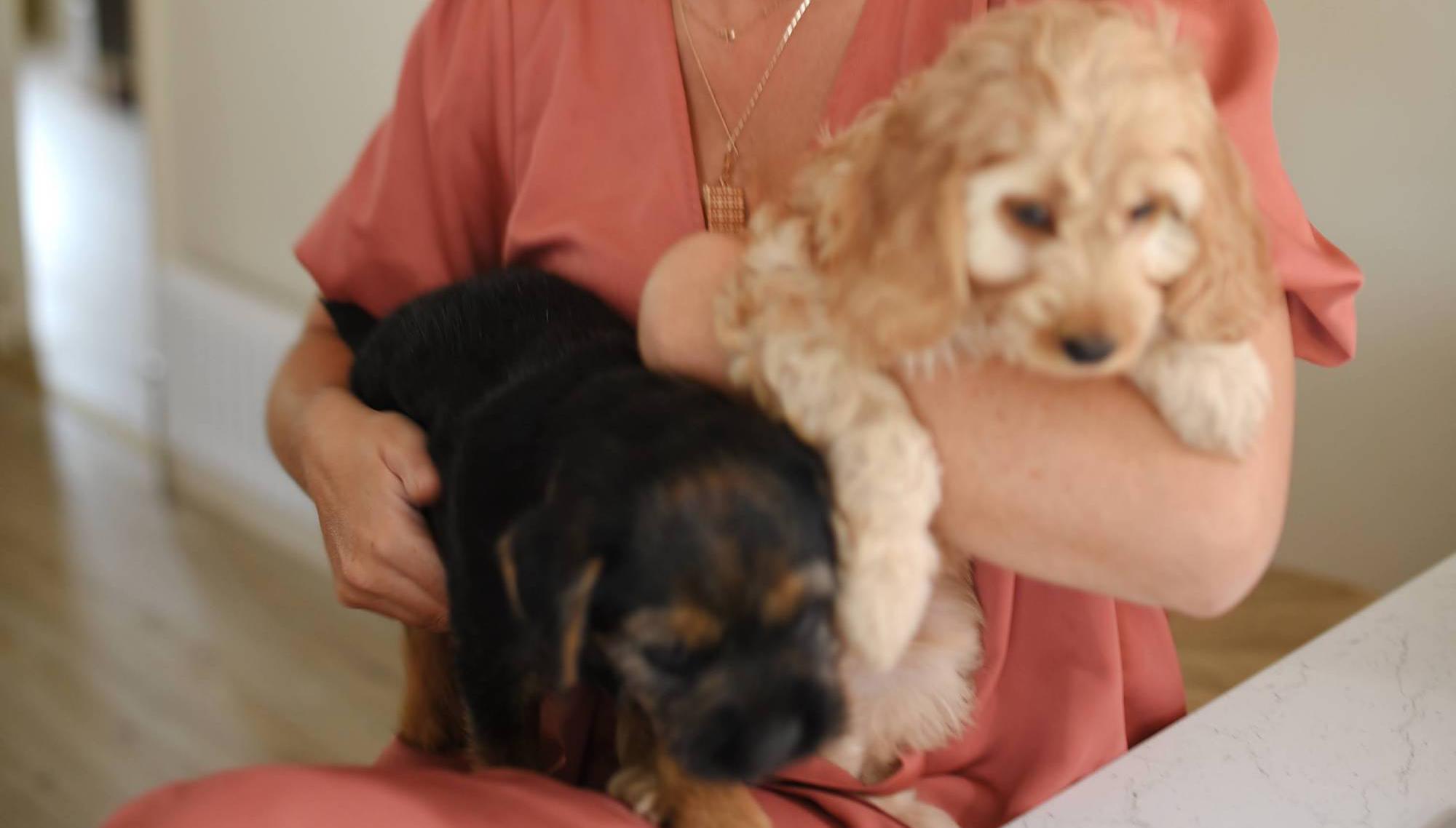 Paws for thought: Why so many of us became dog owners during lockdown
