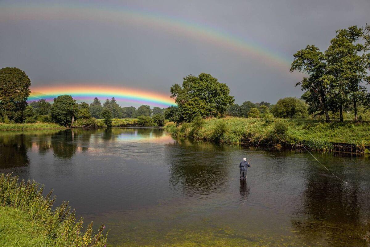 Plenty angling on the Blackwater near Ballyrafter House 