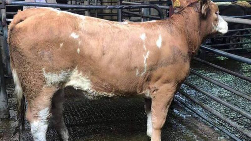 Irish Examiner view: So out of touch