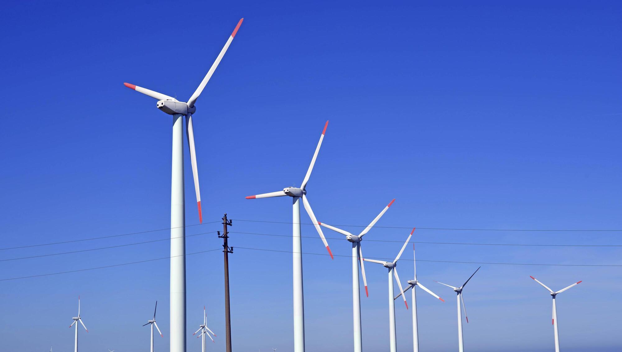 Wind farm planned for scenic area near Gougane Barra refused planning