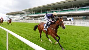 <p>Champers  Elysees can take step up in class in her stride. Picture:  Healy Racing </p>