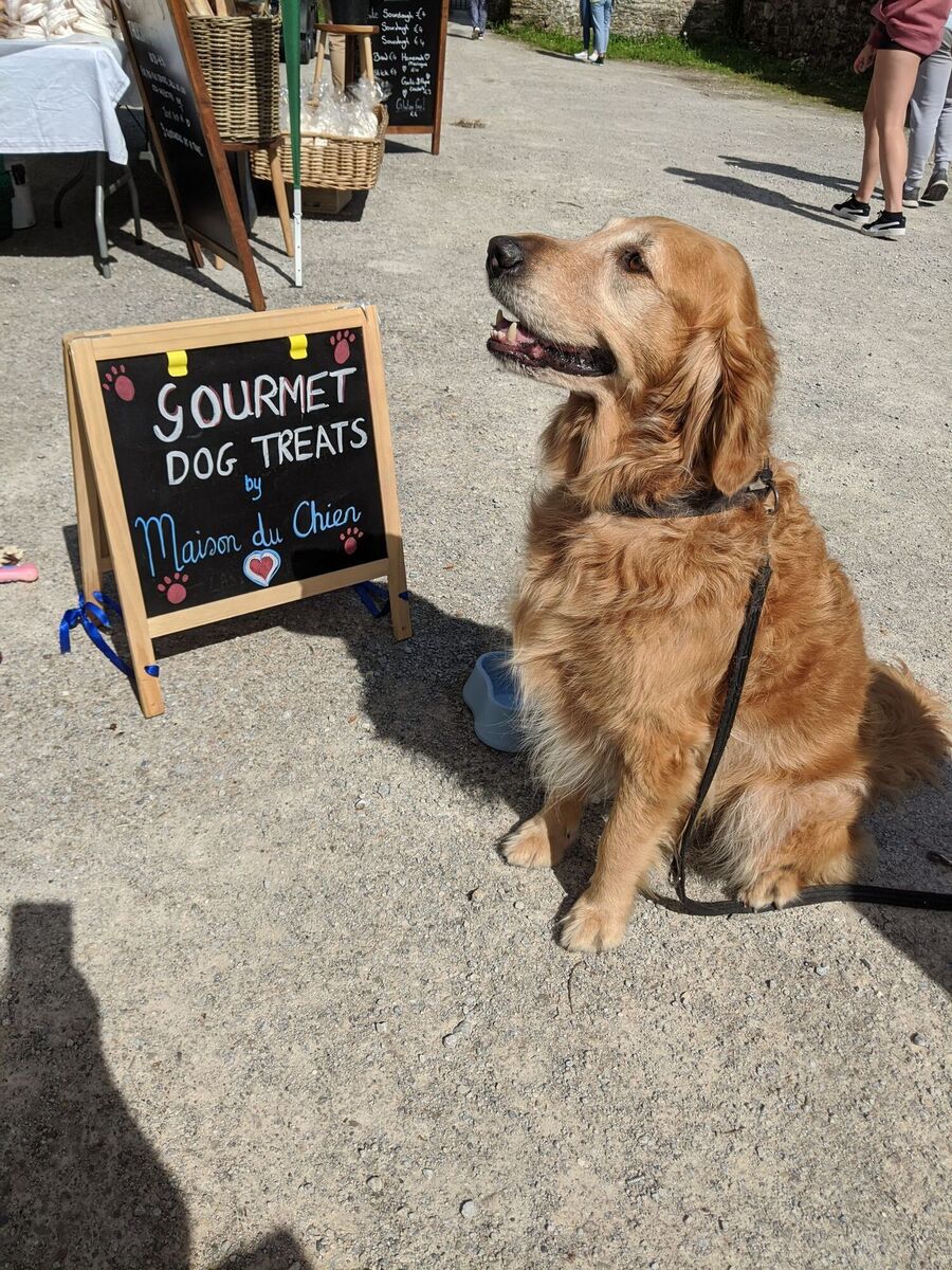Artisanal dog treats from Maison du Chien at Lismore farmers and craft market.